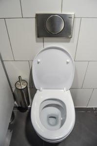 toilet1-678x1024